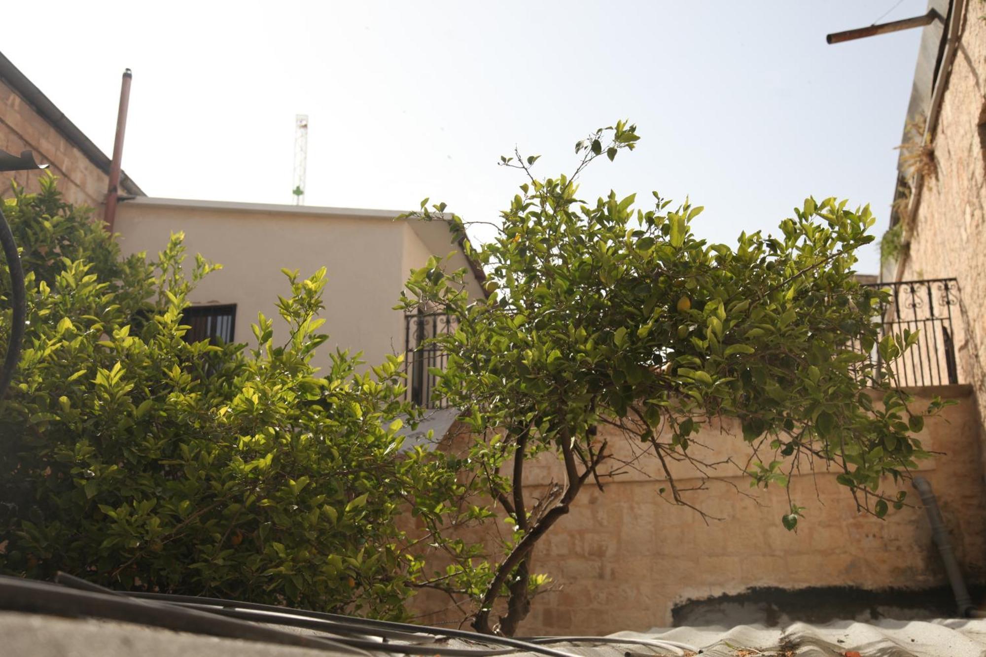 Habira Apartments Jerusalem Exterior photo